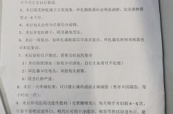 包皮切割手术的费用大概是多少？术后需要注意什么？