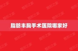 丰胸手术哪家医院做得好？求专业人士分析推荐