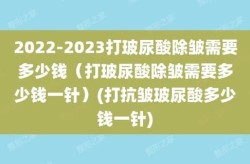 玻尿酸除皱的费用大概是多少？维持时间多久？