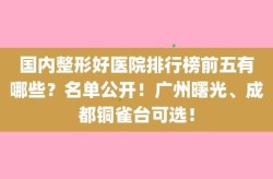 国内好的整形医院有哪些？如何衡量医院水平？