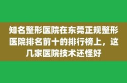 整形医院排名中哪家医院位居前列？依据是什么？