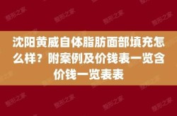 自体脂肪填充面部价格：多少钱能实现美丽？