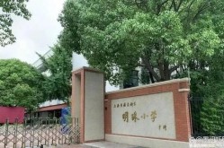 上海四大民办小学的教学质量和环境如何？