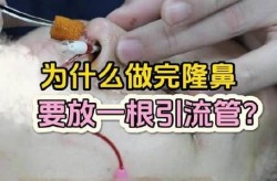 伊维兰注射隆鼻的价格一般是多少？与硅胶隆鼻相比哪个更划算？