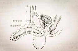 男性增大增粗手术效果如何？有没有真实案例？