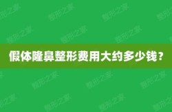 北京假体隆鼻手术的费用大约是多少？