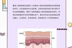 骨胶原产品价格差异大，一盒多少钱才算合理？