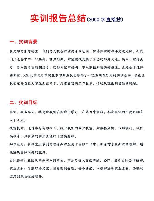 1x鸿科经纬网店运营推广高级实训报告，沙盘对抗数据复盘与策略优化总结
