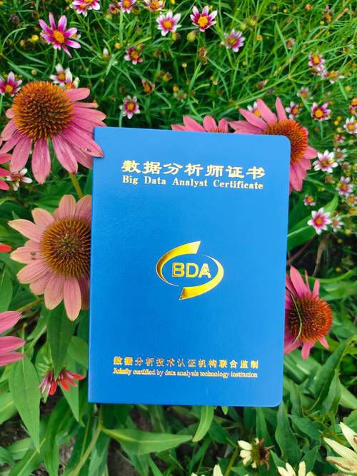 1x电商运营推广中级有什么用，证书含金量与就业加薪的实用价值分析